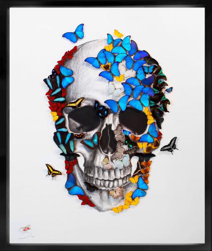 Front Skull Large